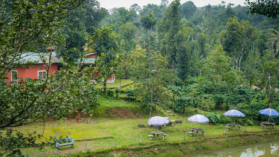 Luxury homestays in Coorg at Yedamakky Plantations